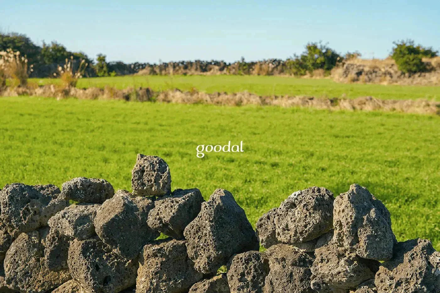 Goodal - Korean Beauty